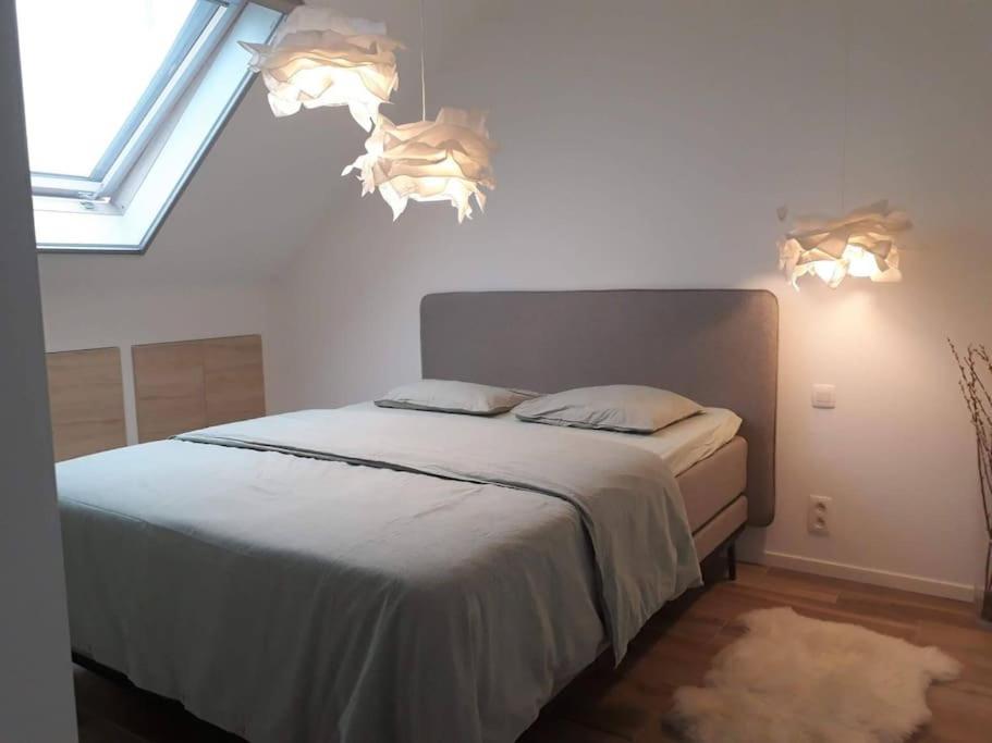 Vila Minus Is Joenus Ostende Exteriér fotografie